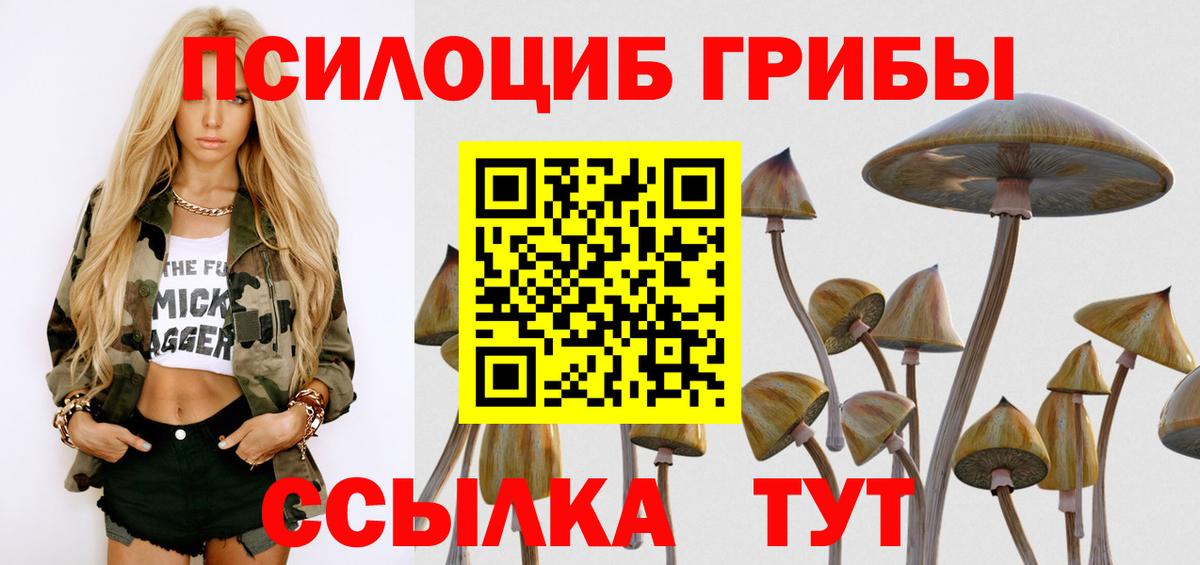 Галлюциногенные грибы Psilocybe Красноуфимск